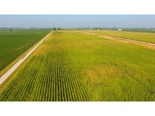 Property photo 5 - LAND AUCTION - 359+/- ACRES IN 2 FARMS IN EAST ALLEN CO., INDIANA & PAULDING CO., OHIO